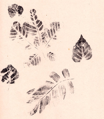 tree leaf prints on textured brown paperの写真素材