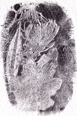 imprints of real leaves on paper, creative abstract grunge backgroundの写真素材