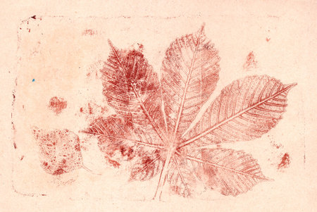 imprints of real leaves on paper, creative abstract grunge backgroundの写真素材