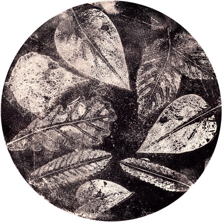 imprints of real leaves on paper, creative abstract grunge background