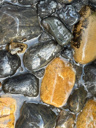 colorful stones in water natural texture backgroundの写真素材