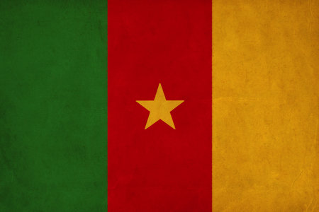 Cameroon flag drawing ,grunge and retro flag series の写真素材