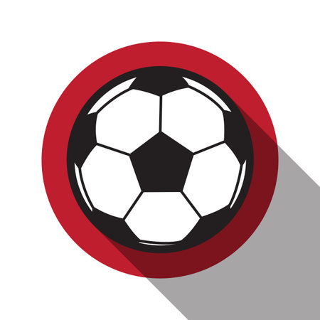 football icon with Japan flag background,long shadow vectorのイラスト素材