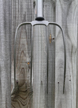 The Old hayfork on wood background, fork of farmers hoeing weedsの写真素材