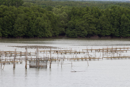 Fishermen return traditional fishing methods in Chanthaburi Province, Thailand.