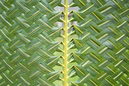 Pattern weaving of coconut leavesの写真素材