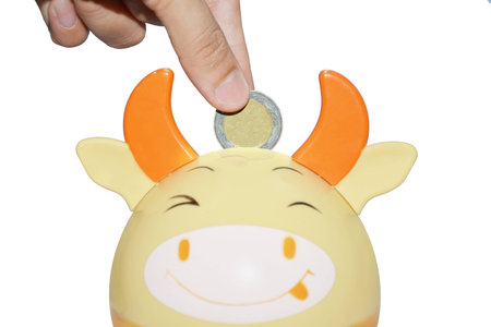 Saving  Money concept,  Woman hand putting coin into cute baffalo bank.の写真素材