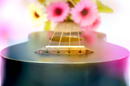 closeup of ukulele with colorful flowerの写真素材