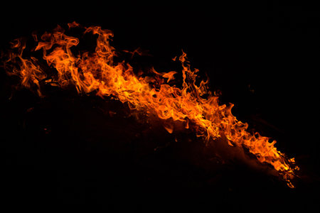 Fire flames on a black background