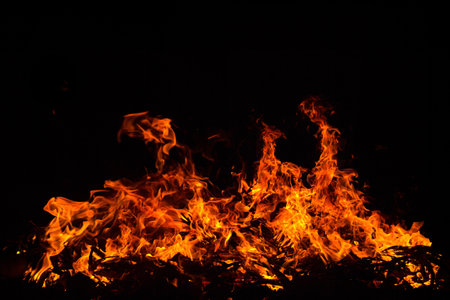 Fire flames on a black background
