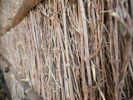 Dried twigs and branches striped wood texture pattern background の写真素材