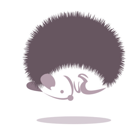 image graphic style of hedgehog isolated on white backgroundの写真素材