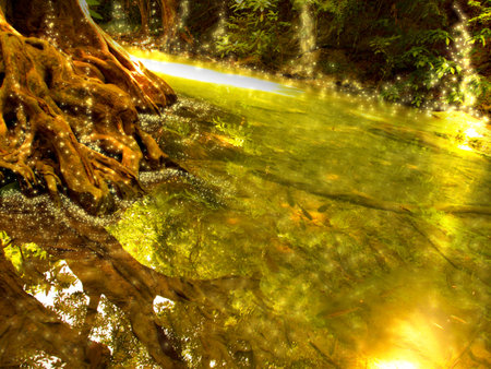 night light fantasy forest scene illustrationの写真素材