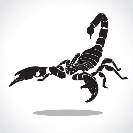 image graphic style of scorpion  isolated on white backgroundの写真素材