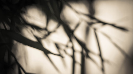 Blur bokeh abstract nature backgroundの写真素材