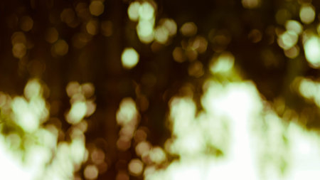 Blur bokeh abstract nature background