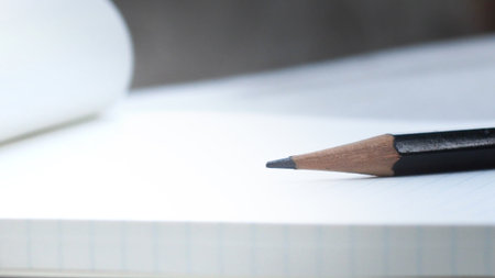 a pencil on the grid paper note bookの写真素材