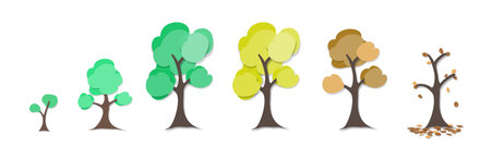 tree circle of life graphic art in paper art style , ecology concept illustration and design elementの写真素材