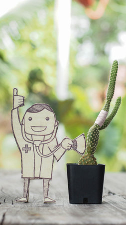cut out paper of doctor holding stethoscope diagnose wounded cactus on the wooden table, healthcare conceptの写真素材