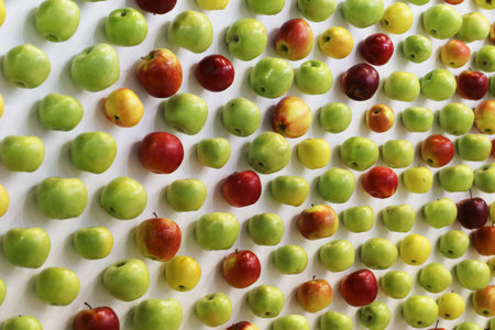 Organic Red Akane Apples, Sweet and Tart Fresh Picked from the Tree on White Wood Boards for a...