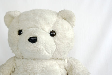 white teddy bearの写真素材