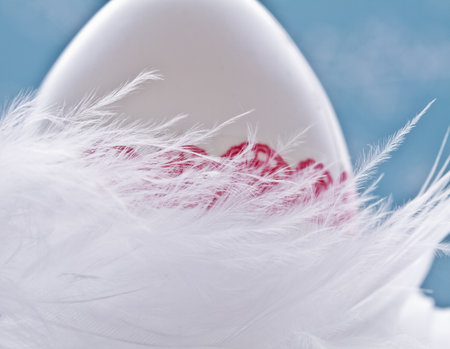 beautiful white egg with red Lace and blue Backgroundの写真素材