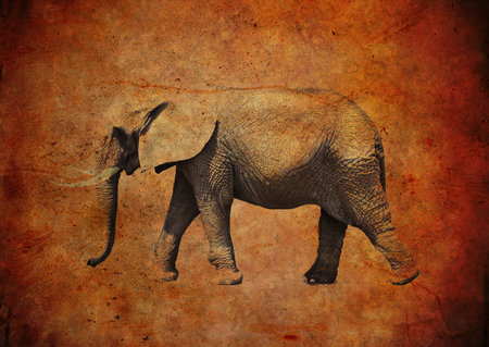 Portrait of an adult elephant with large tusk on a grungy brown vintage backgroundの写真素材