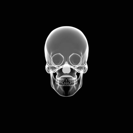 Human Skull isolated on black with X-ray or smoke effect の写真素材