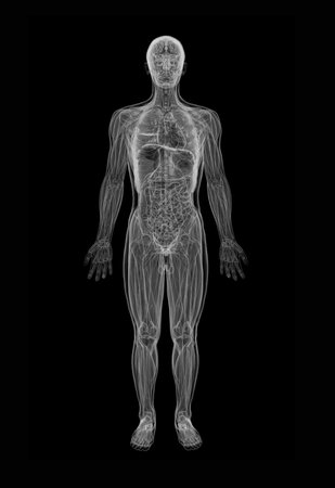 male body under X-rays isolated on black の写真素材