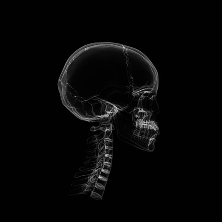 Human Skull isolated on black with X-ray  effect の写真素材