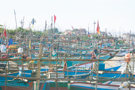 Sri Lanka, Asia, Dodanduwa - Several traditional longboats at the beach of Dodanduwaのeditorial素材