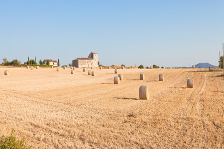 Santa Margalida, Mallorca, Spain - Traditional farming on cultivated areas near Santa Margalidaのeditorial素材