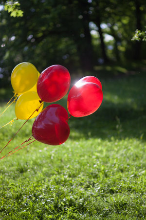 balloons on a background of park.の写真素材
