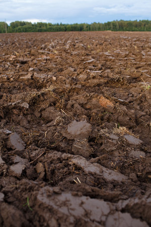 plowed field with tractor traces in spring time, farm soil background.の写真素材