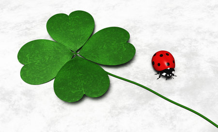 a green four-leaf clover is lying near a ladybug on a white and grey abstract groundの写真素材