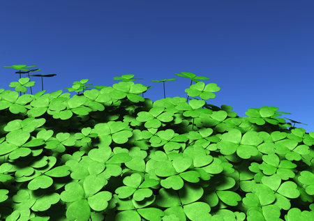 view of a group of four-leaf clovers of different height and dimensions, on a blue sky backgroundの写真素材