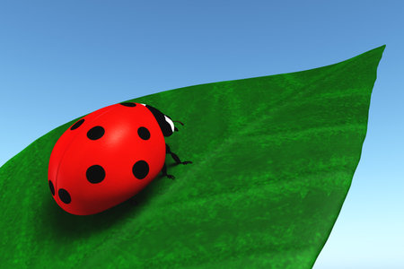 closeup of a red ladybug that stands on a green leaf, on a blue sky as backgroundの写真素材