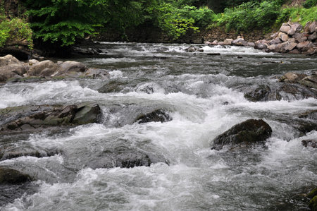 Mountain river. Ukraine. Zakarpattya.の写真素材