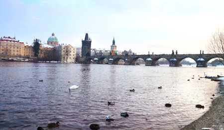 View on Charles bridge from Vltava riverside, Prague, Czech republicの写真素材