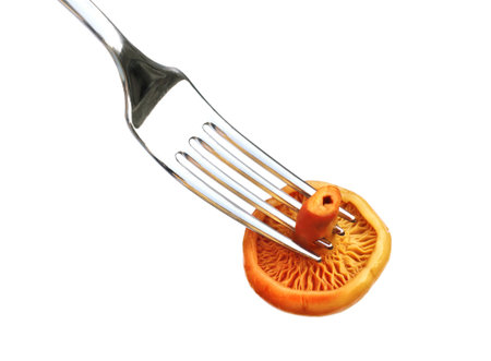 Marinated saffron milk cap mushroom on a forkの写真素材