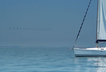 Bird above silent water and white yacht. It is a beautiful peace picture.の写真素材