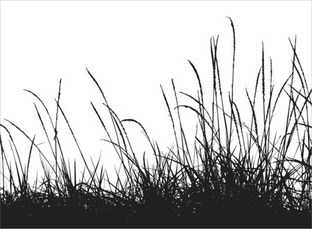 Grass vector silhouetteのイラスト素材