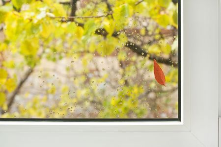 We look through a window at autumn.Drops of a rain on glass and one red leaf. But house is warm and...