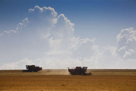 Harvest time / A combine harvester working in a  fieldの写真素材