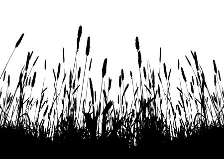 real grass vector silhouette / on white backgroundのイラスト素材