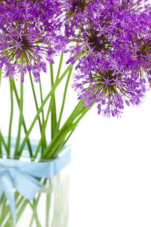 Bouqet of Allium / beautiful flowers / isolated on whiteの写真素材