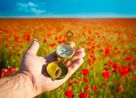 Compass in a Hand / Discovery / Beautiful Day / Red Poppies in Natureの写真素材