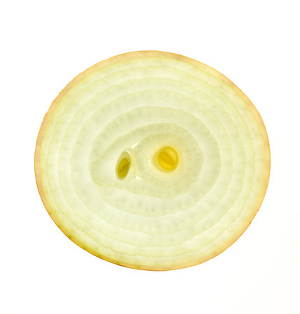 Slice of a fresh Onion /  back lit / isolated on whiteの写真素材