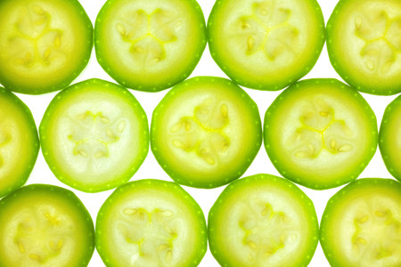 Slices of zucchini or courgette isolated on white / back litの写真素材