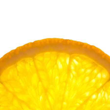 Slice of fresh Orange / Super Macro / Back litの写真素材
